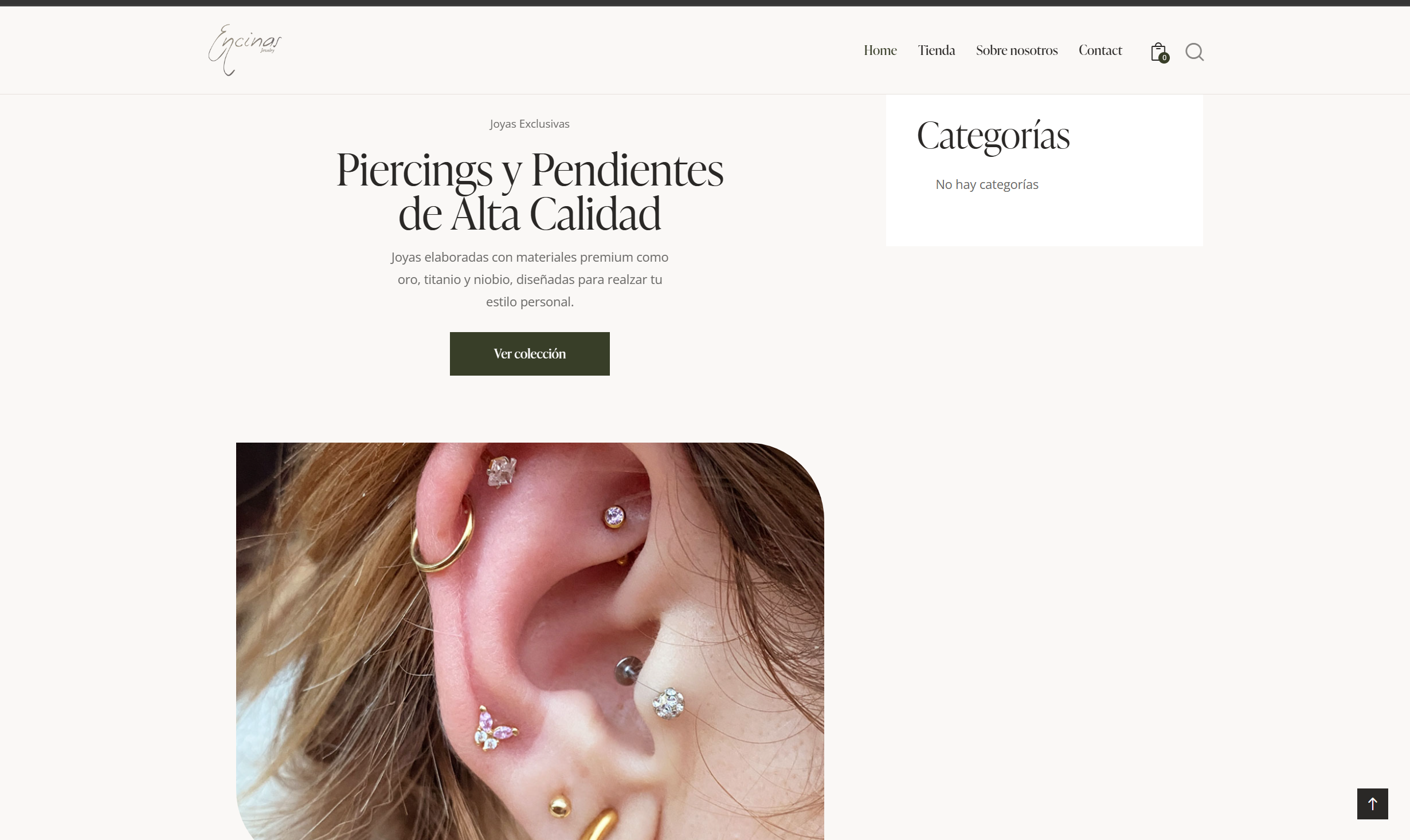 Captura del proyecto Encinas Jewelry