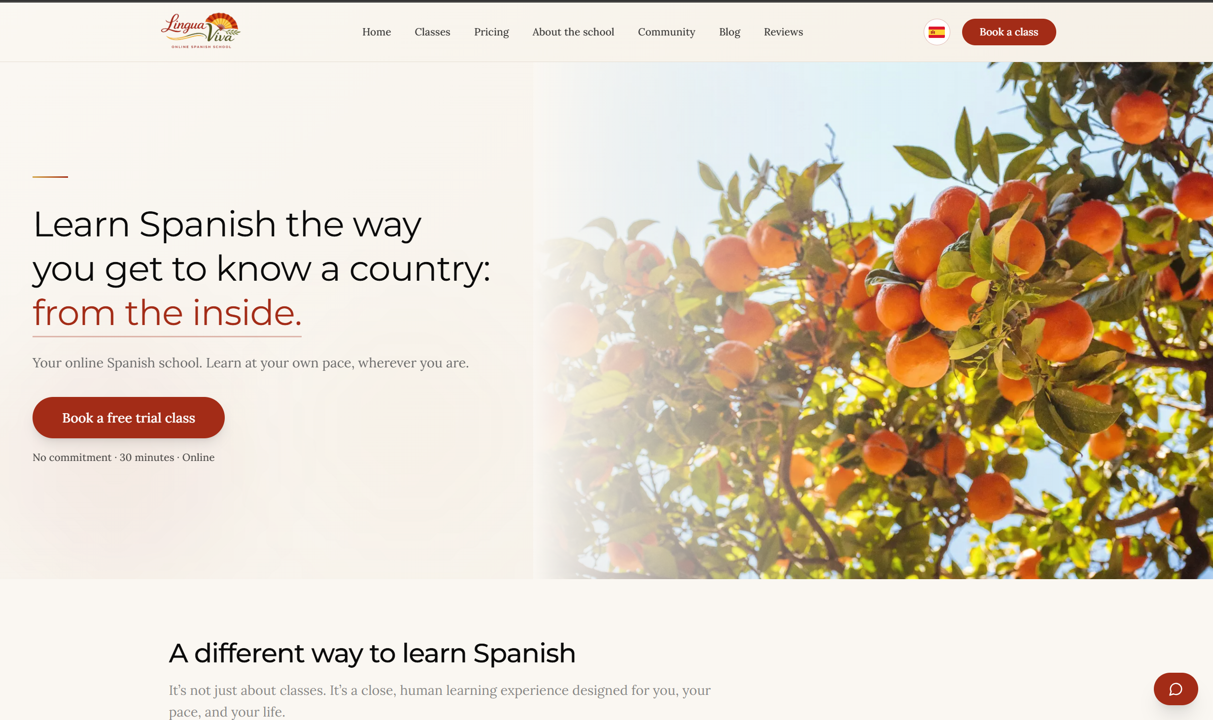 Captura del proyecto Lingua Viva School